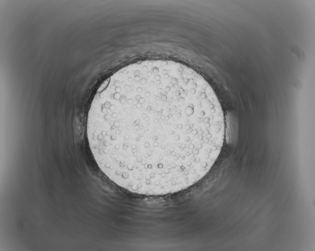 X0000112771491200910011225