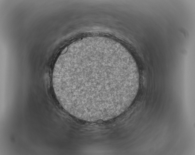 X0000112771493200910011225