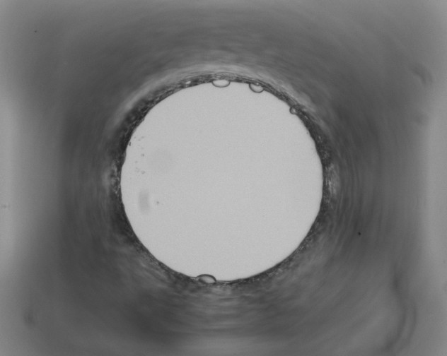 X0000112771495200910011225