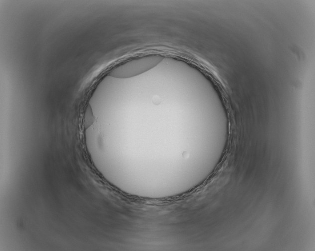 X0000112771496200910011225