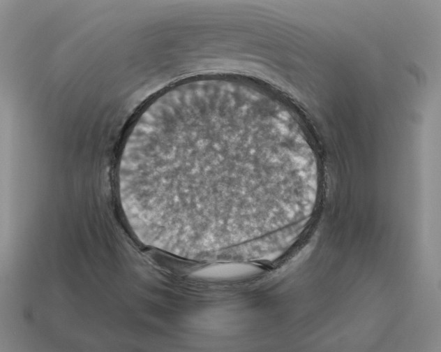 X0000112771497200910011225