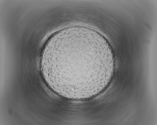 X0000112771499200910011225