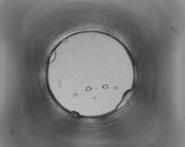 X0000112771500200910011225