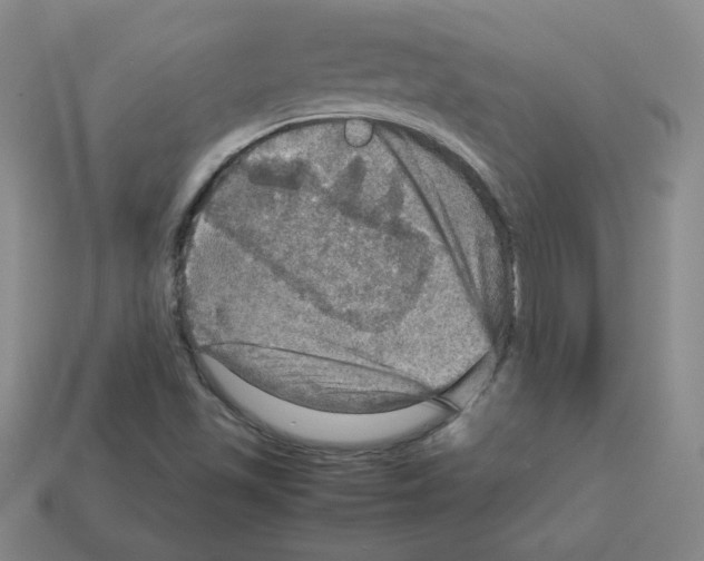 X0000112771501200910011225