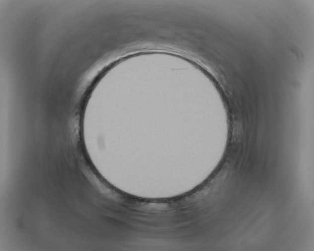 X0000112771503200910011225