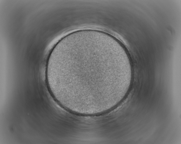 X0000112771504200910011225