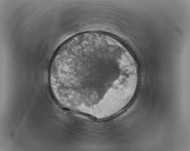 X0000112771505200910011225