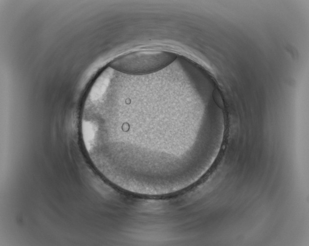 X0000112771506200910011225