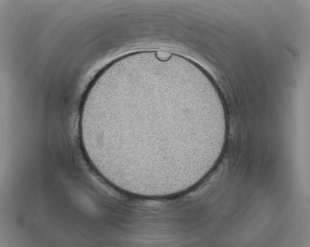 X0000112771507200910011225