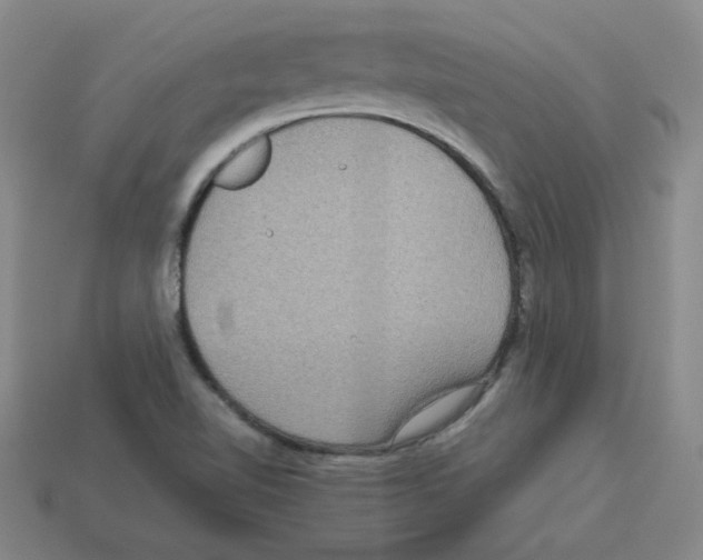 X0000112771510200910011226