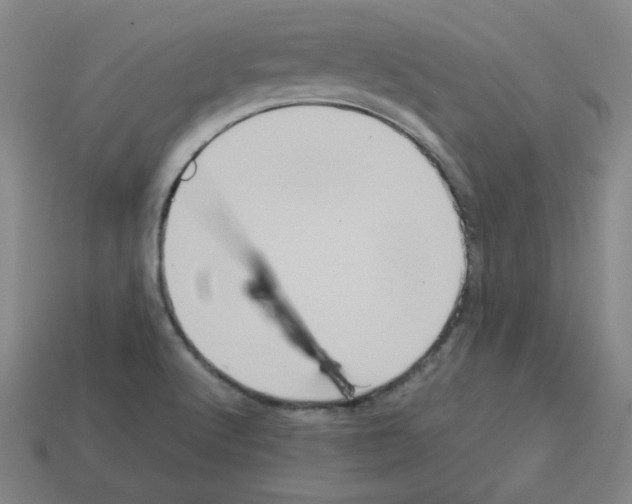 X0000112771512200910011226