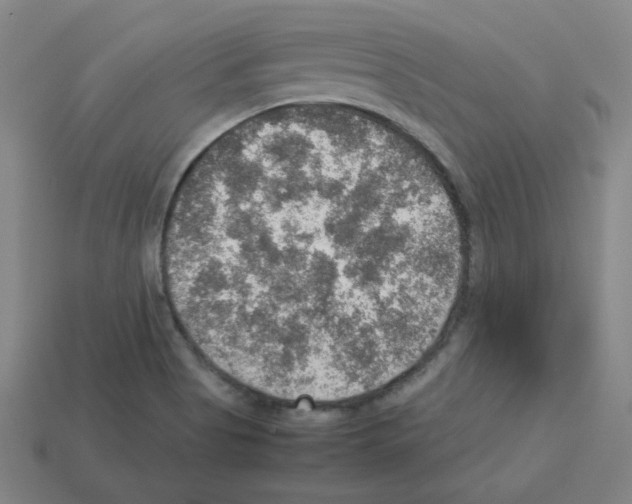 X0000112771513200910011226