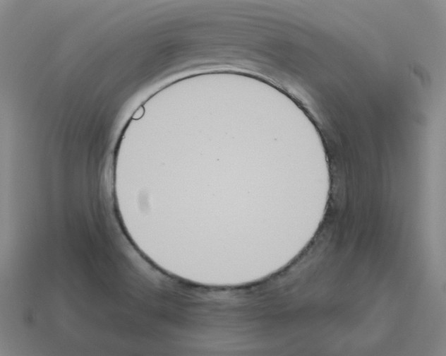 X0000112771516200910011226