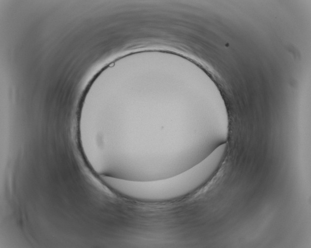 X0000112771518200910011226