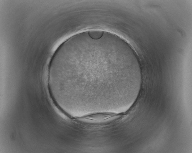 X0000112771519200910011226