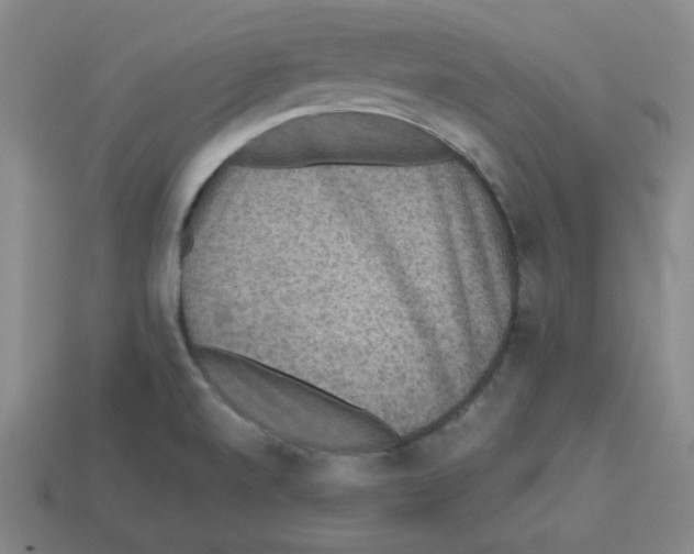 X0000112771520200910011226