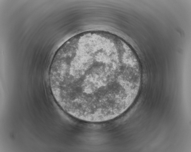 X0000112771521200910011226