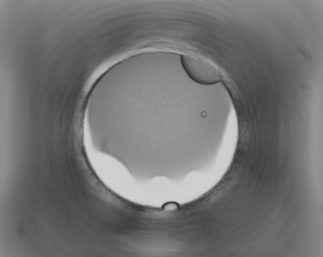 X0000112771522200910011226