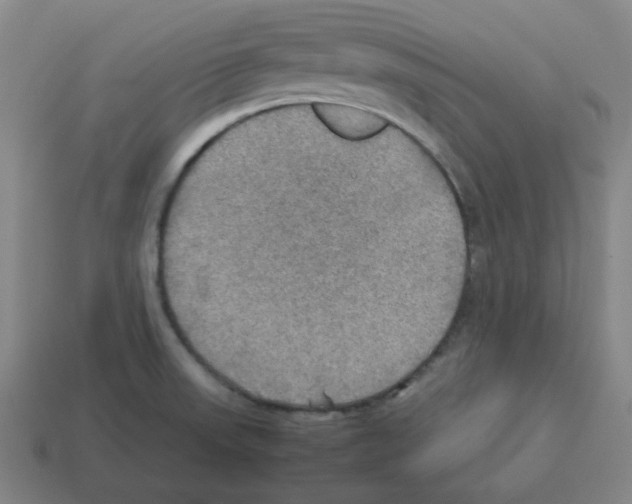 X0000112771523200910011226