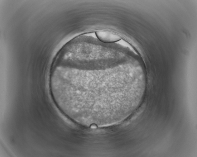 X0000112771525200910011226