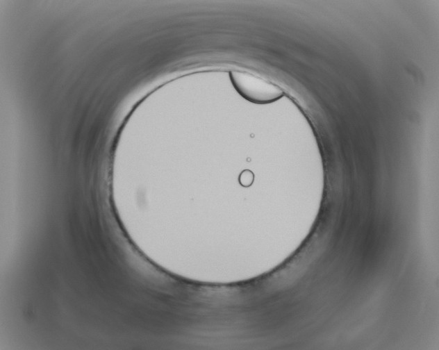 X0000112771526200910011226