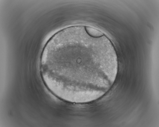 X0000112771527200910011226