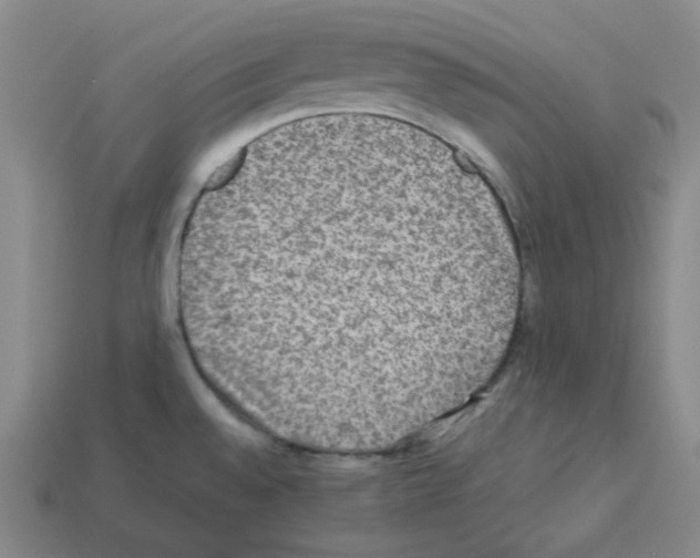 X0000112771528200910011226