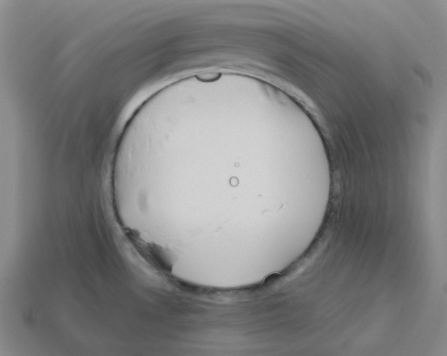 X0000112771530200910011226