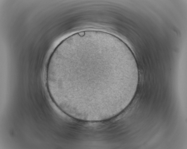 X0000112771531200910011226