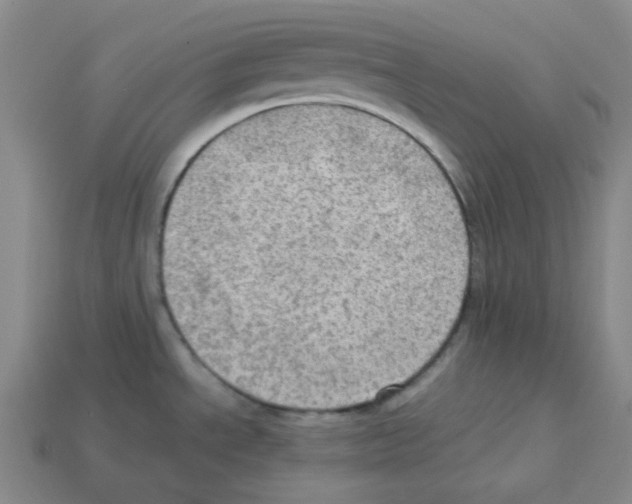 X0000112771534200910011226