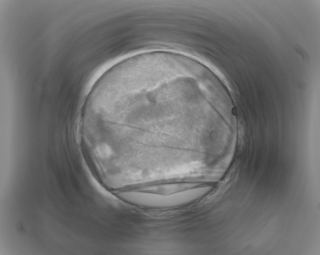 X0000112771535200910011226