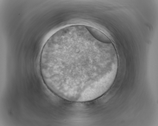 X0000112771536200910011226