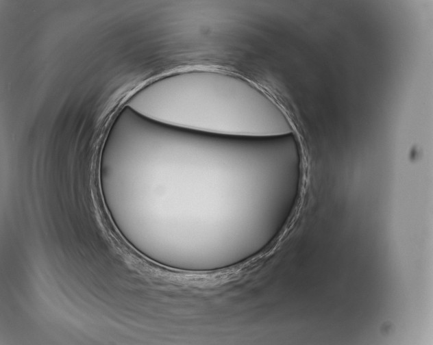X0000112780001200908201425