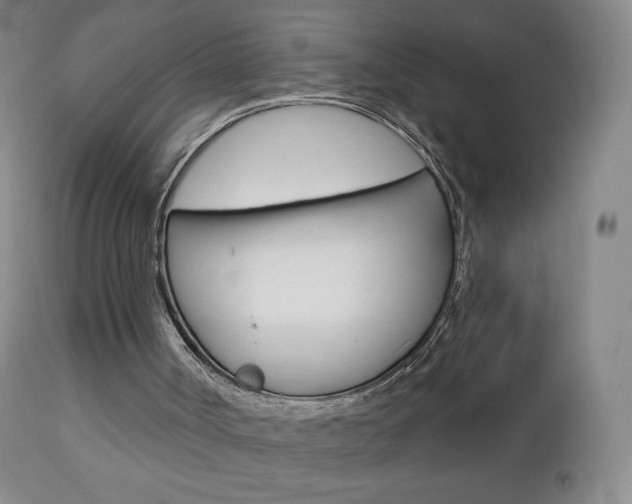 X0000112780002200908201425