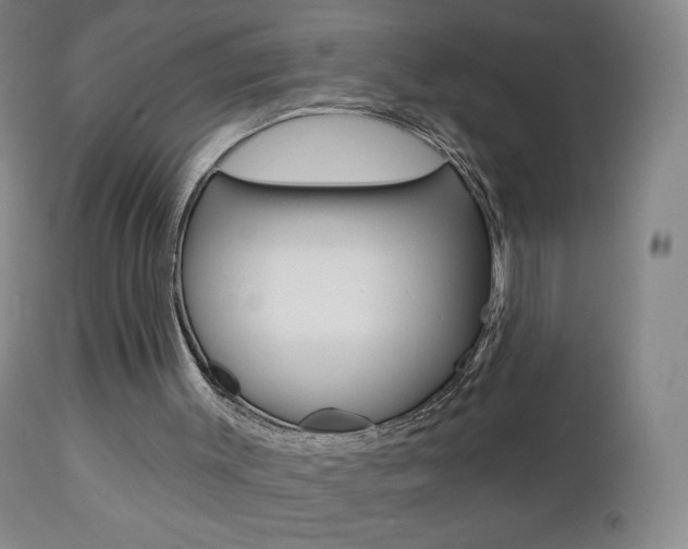 X0000112780003200908201425