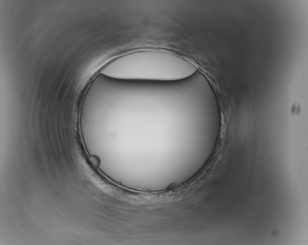X0000112780005200908201424