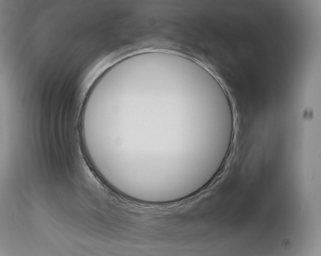 X0000112780007200908201424