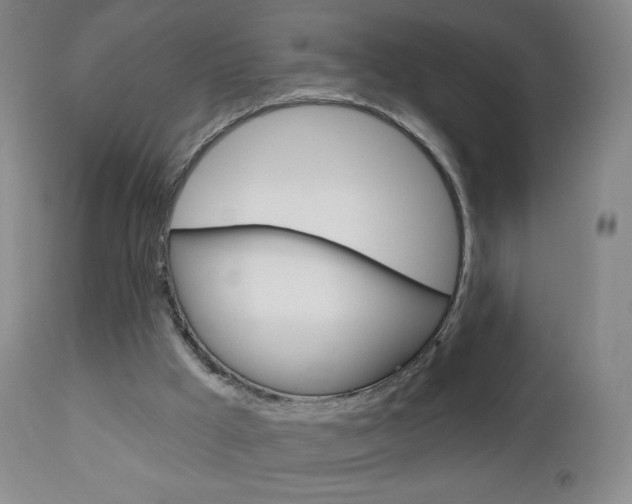 X0000112780009200908201424