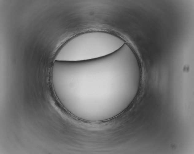 X0000112780010200908201424