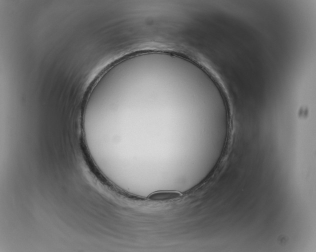 X0000112780011200908201424