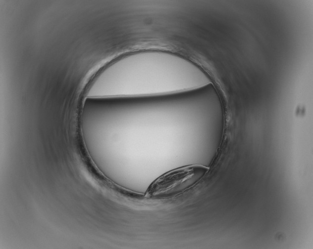 X0000112780012200908201424
