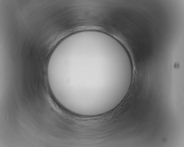 X0000112780013200908201424