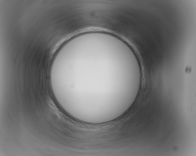 X0000112780015200908201424