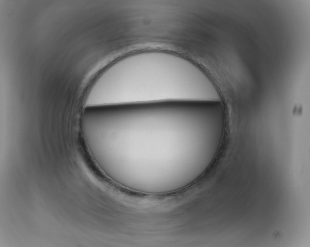 X0000112780016200908201424