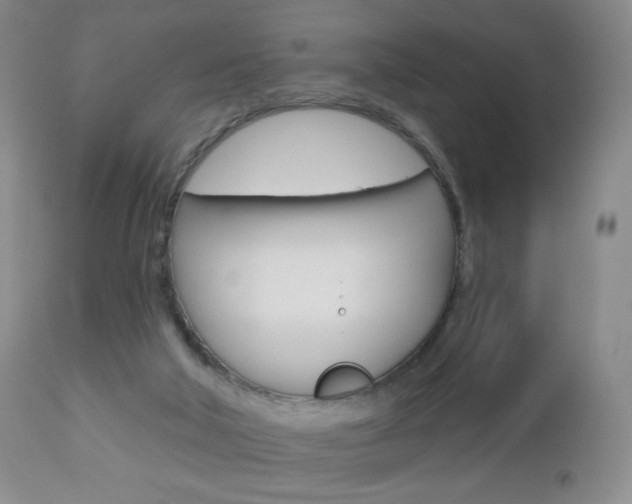 X0000112780018200908201424