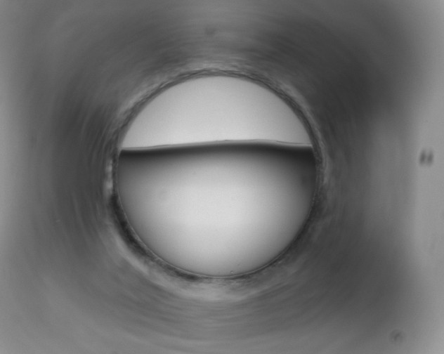 X0000112780020200908201424