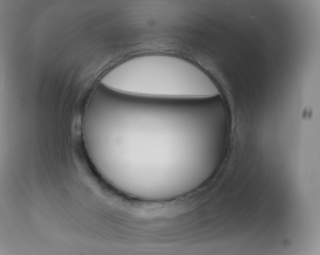 X0000112780021200908201424