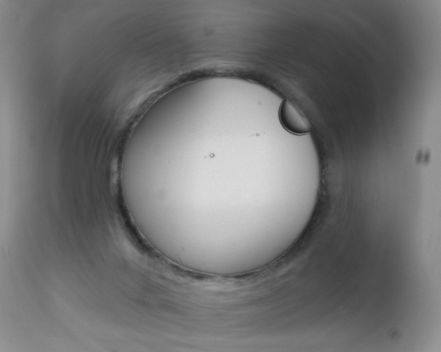 X0000112780024200908201424