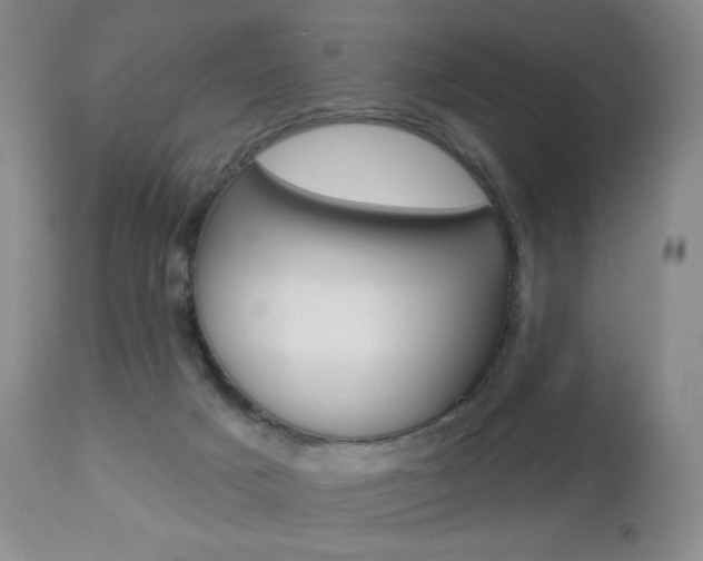 X0000112780025200908201424