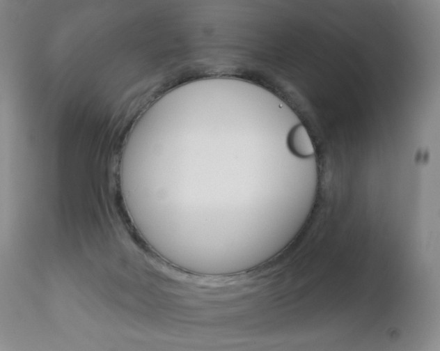 X0000112780026200908201424